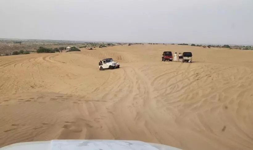 Camel Resort