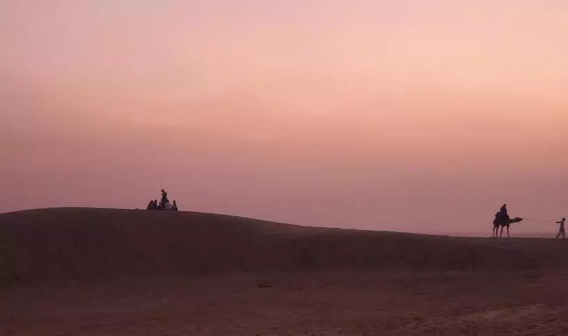 Camel Resort