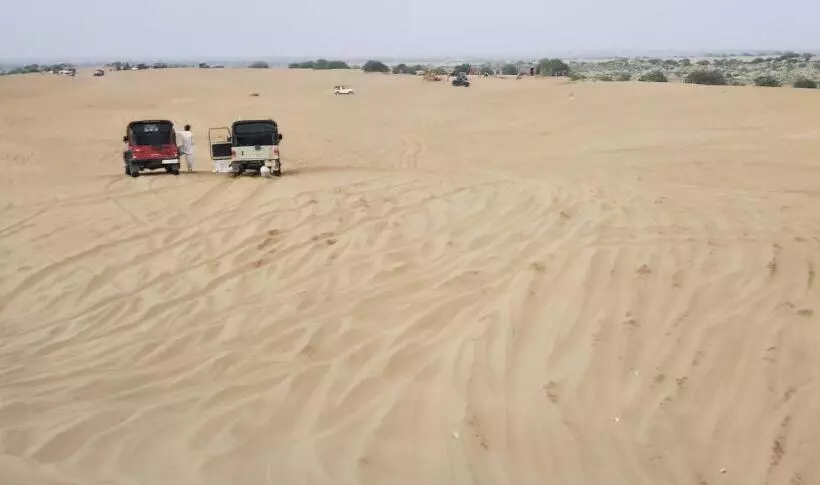 Camel Resort
