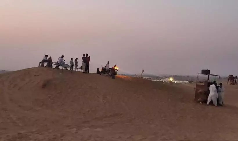 Camel Resort