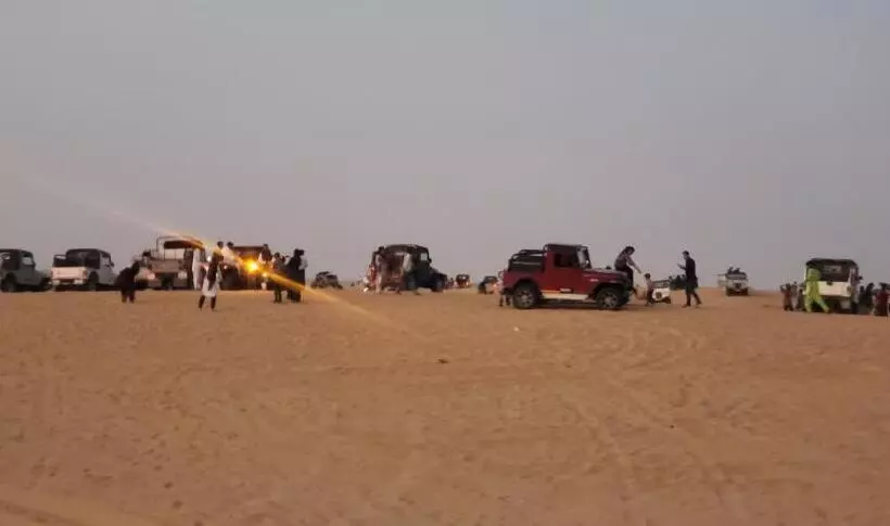 Camel Resort