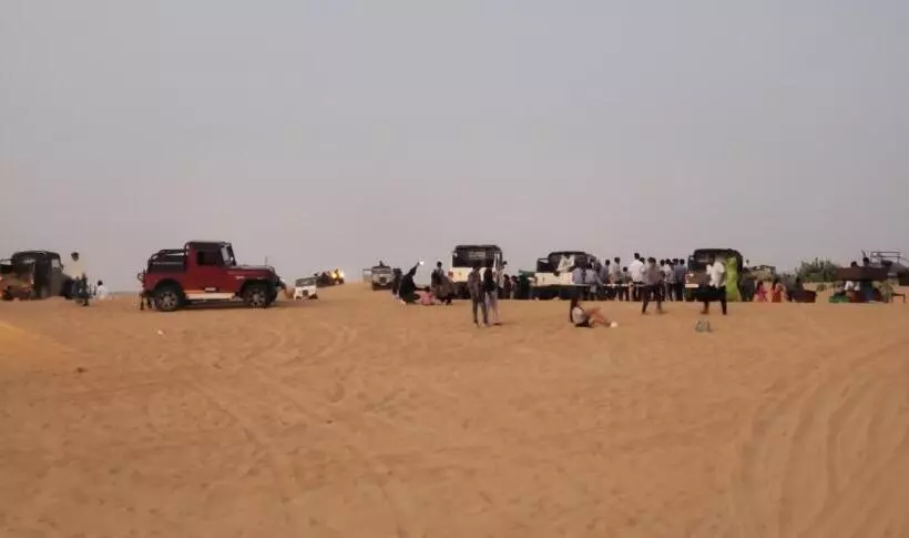 Camel Resort