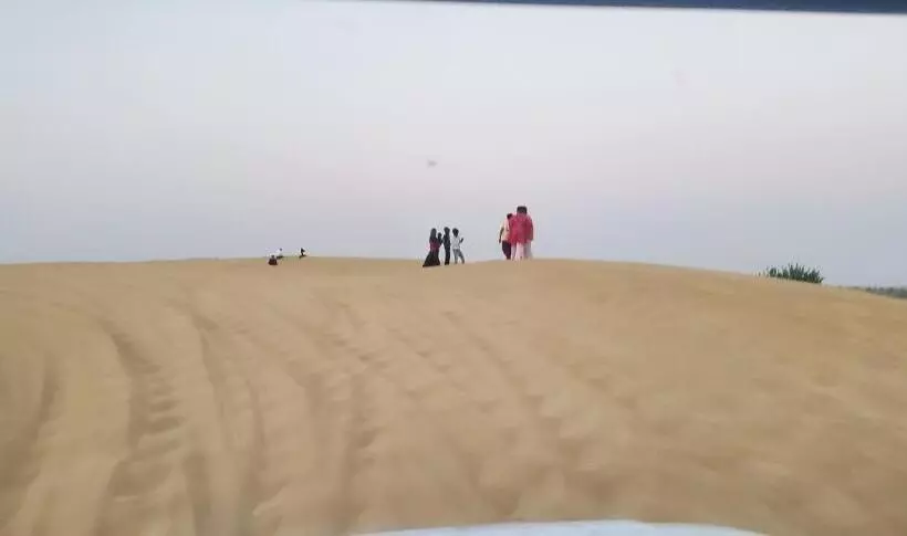 Camel Resort