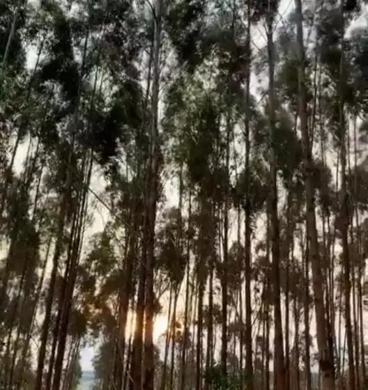 Hotelli Buen Vivir Restrepo A 30 Minutos Lago Calima