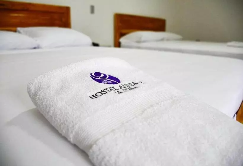 ホテル Hostal Amelia De La Rosa