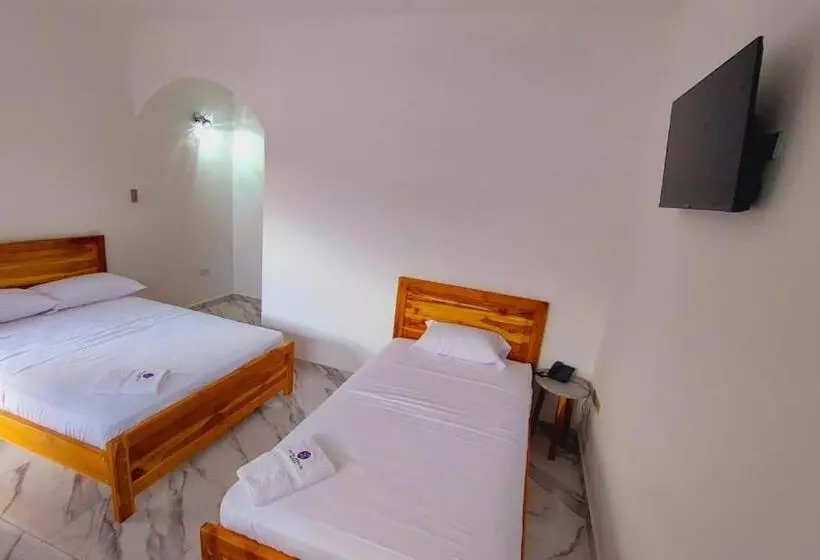 ホテル Hostal Amelia De La Rosa