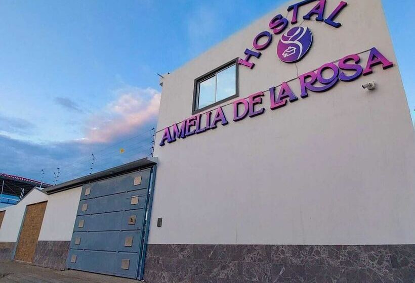 호텔 Hostal Amelia De La Rosa
