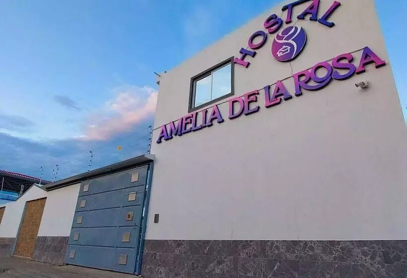 ホテル Hostal Amelia De La Rosa