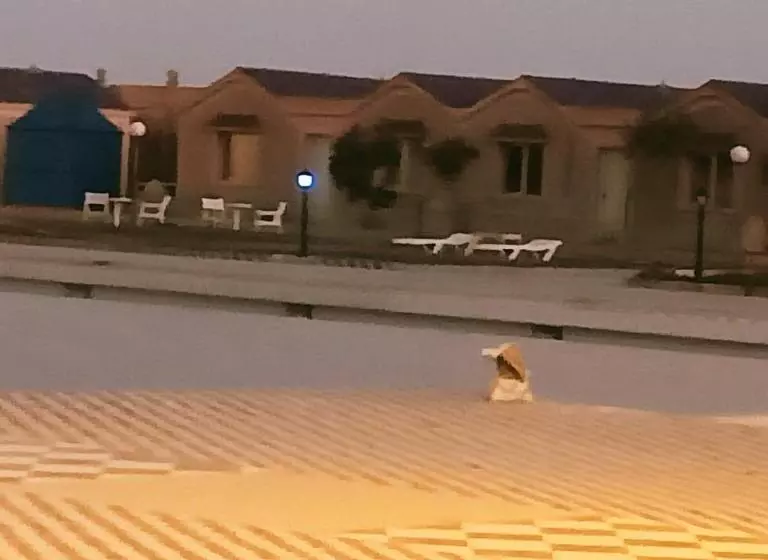 ホテル Nagjir Plage