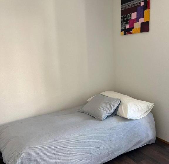 Pensionat Basel Stadt Gundeldingen Zimmer 401, Wc In The Hallway, Outside The Room