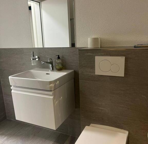 Pensionat Basel Stadt Gundeldingen Zimmer 401, Wc In The Hallway, Outside The Room