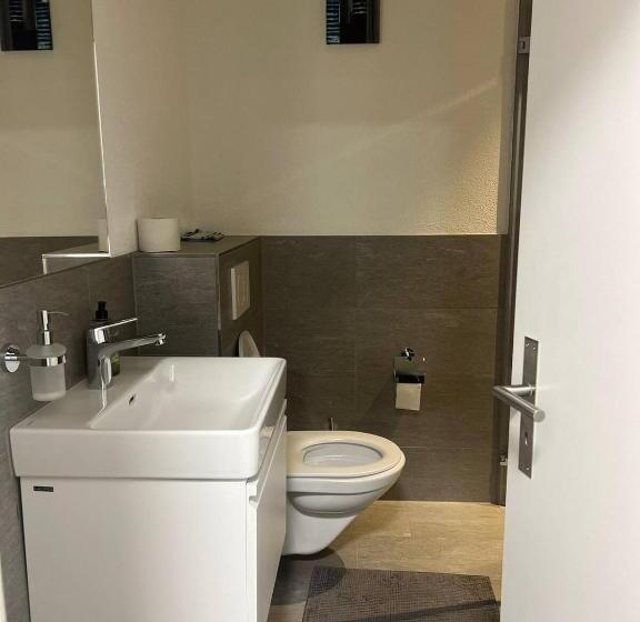 Pensionat Basel Stadt Gundeldingen Zimmer 401, Wc In The Hallway, Outside The Room