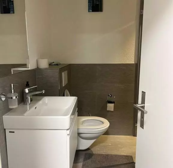 Majatalo Basel Stadt Gundeldingen Zimmer 401, Wc In The Hallway, Outside The Room