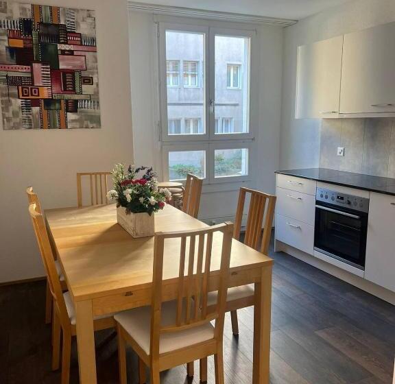 Pensionat Basel Stadt Gundeldingen Zimmer 401, Wc In The Hallway, Outside The Room