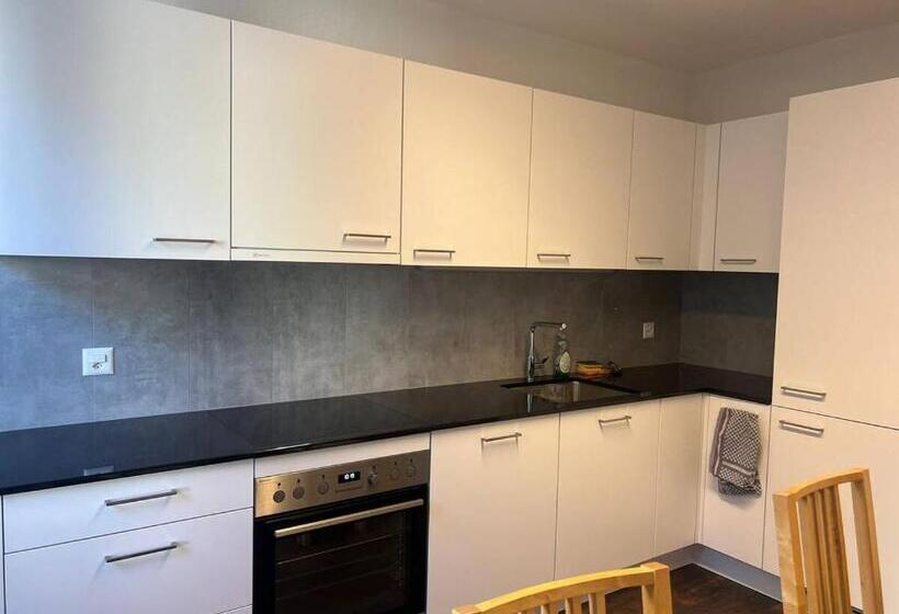 Pensionat Basel Stadt Gundeldingen Zimmer 401, Wc In The Hallway, Outside The Room