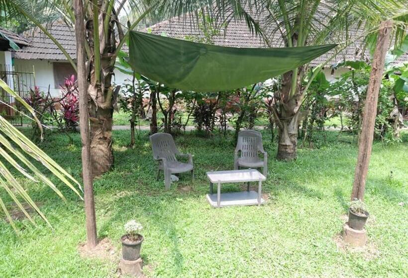 Pensionat Heritage House : The Honeymooners Houstel