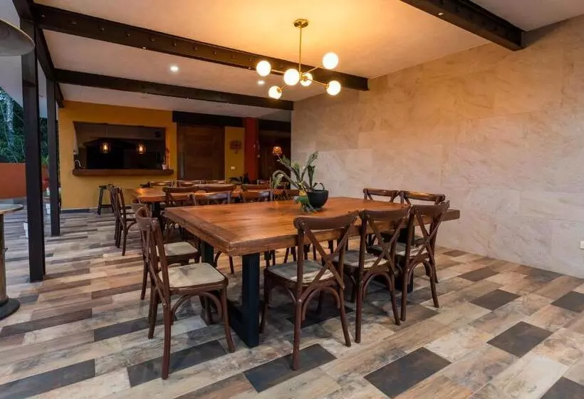 ペンション Casa Tizates  La Peña Suite Jr