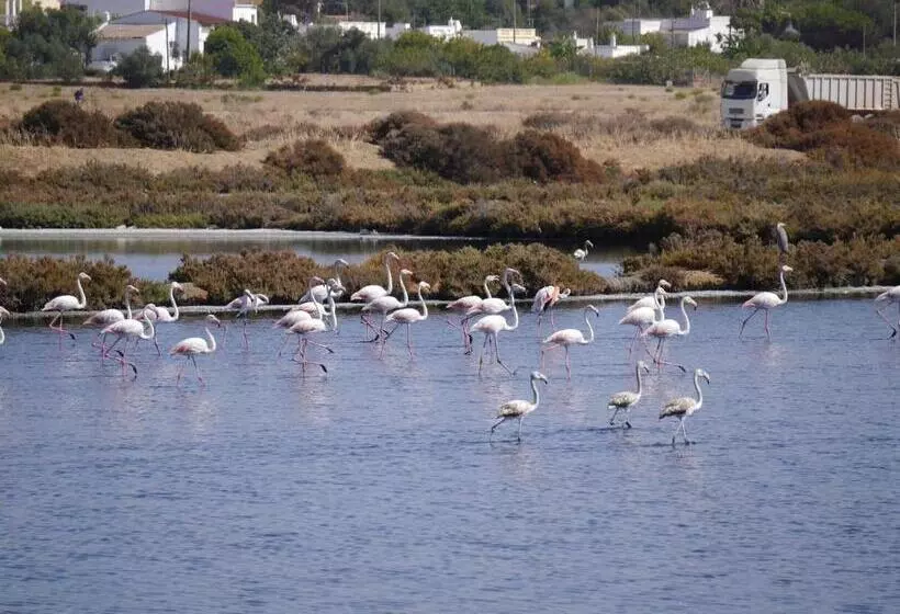 Majatalo Tavira Nomad Guesthouse