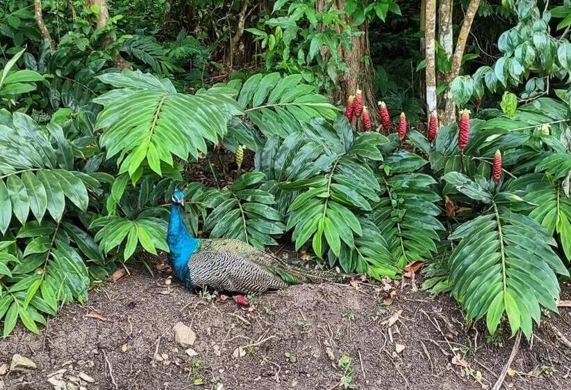 Tierra Adentro Bed And Breakfast