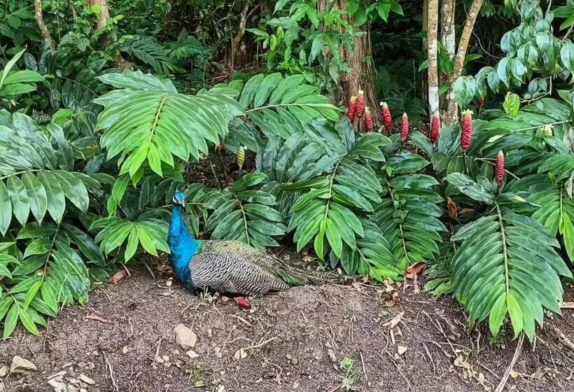 Tierra Adentro Bed And Breakfast