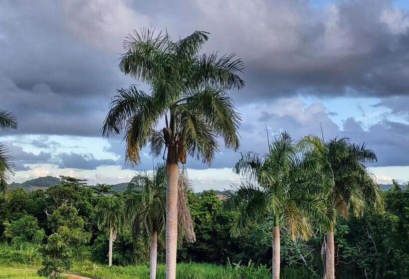 Tierra Adentro Bed And Breakfast