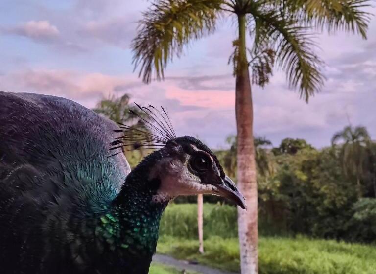 Tierra Adentro Bed And Breakfast