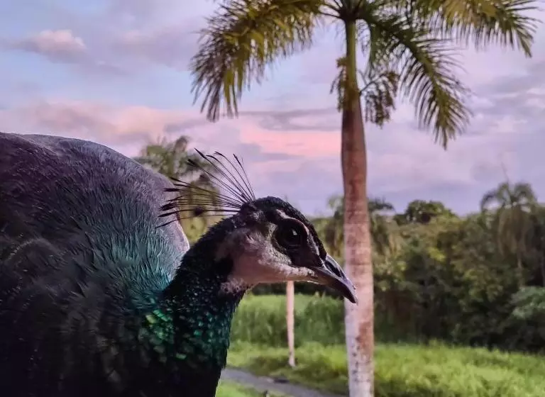 Tierra Adentro Bed And Breakfast