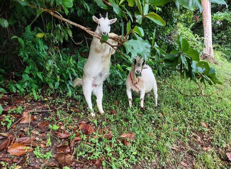 Tierra Adentro Bed And Breakfast