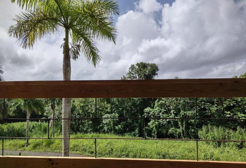 Tierra Adentro Bed And Breakfast