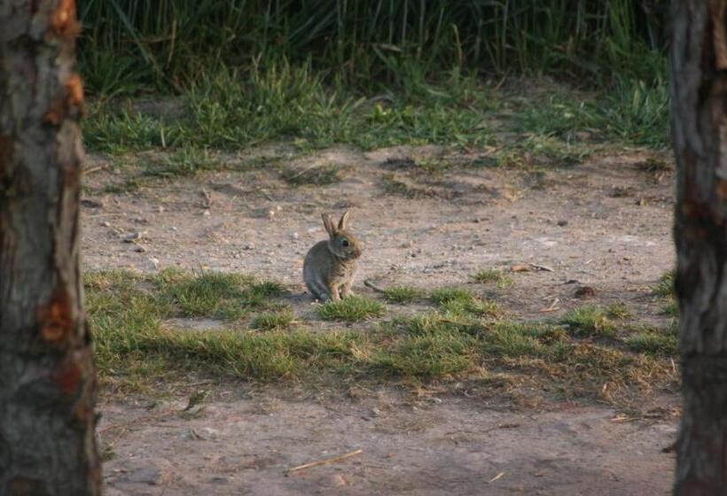 Bed and Breakfast Chambres D Hôtes Ferme De La Moinerie