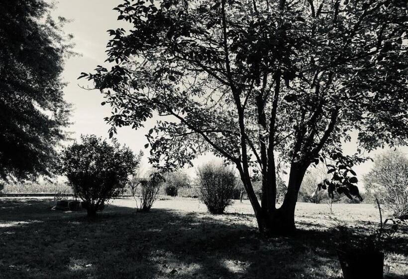 צימר Maison Piffou