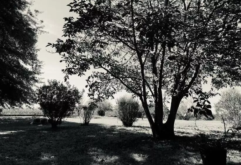 Aamiaismajoitus (B&B) Maison Piffou