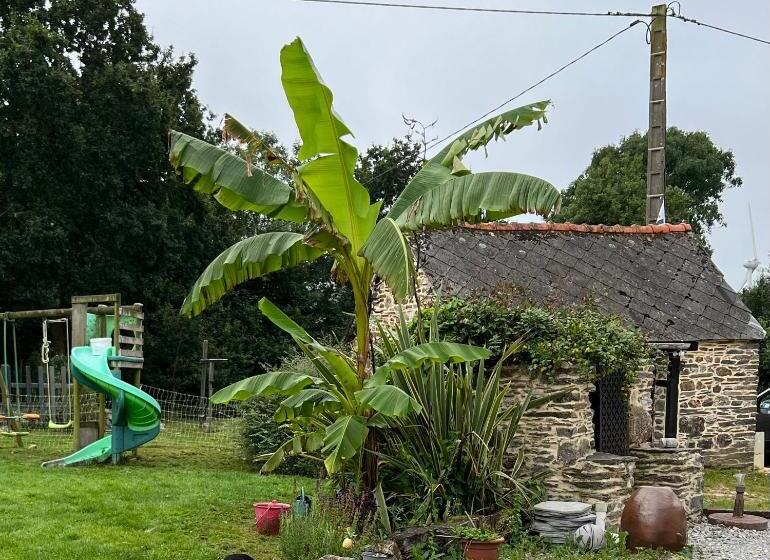 민박 Maison D Hôtes Ty Belle