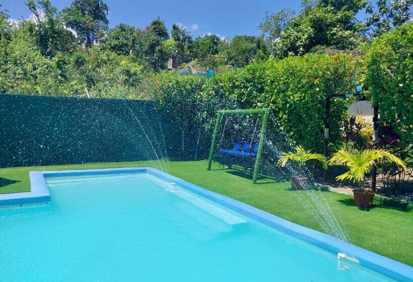 تختخواب و صبحانه The Aquaville Rush Apartment