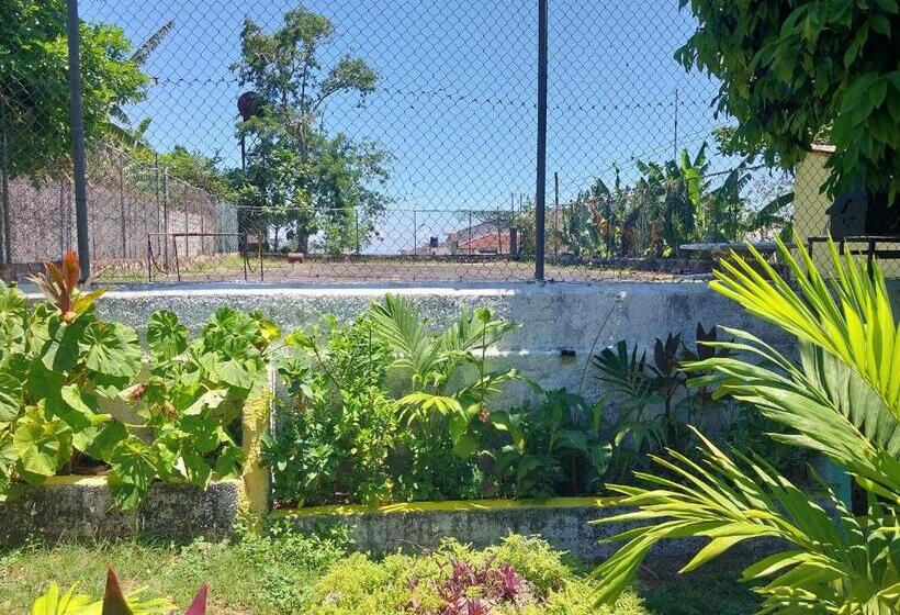 تختخواب و صبحانه The Aquaville Rush Apartment