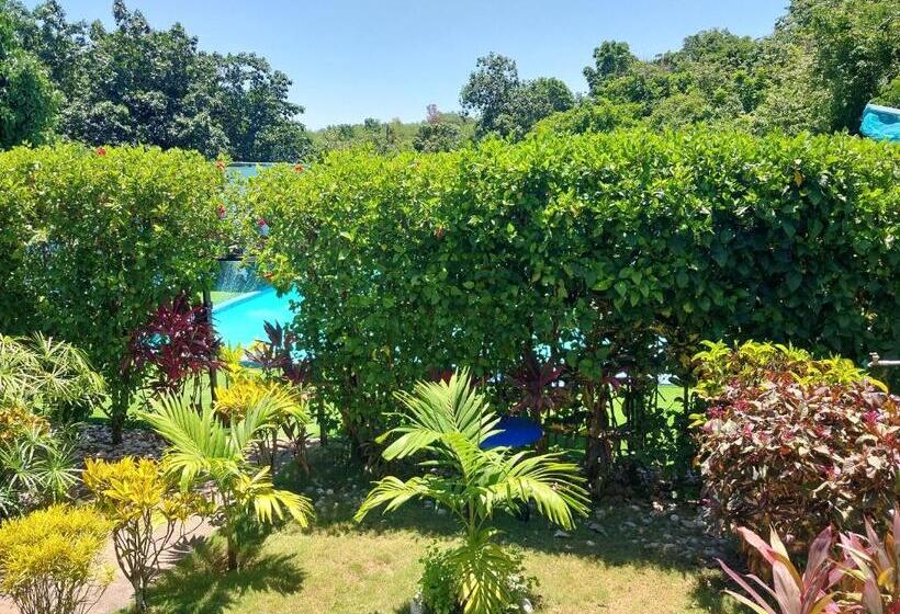 تختخواب و صبحانه The Aquaville Rush Apartment