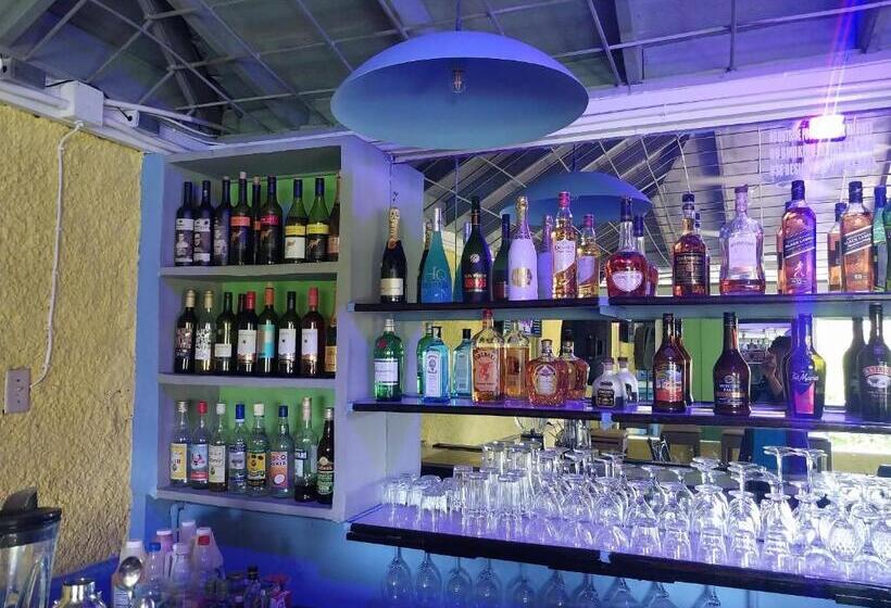 تختخواب و صبحانه The Aquaville Rush Apartment