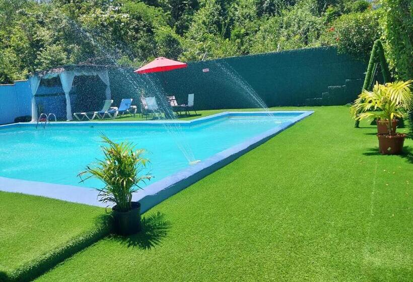 تختخواب و صبحانه The Aquaville Rush Apartment