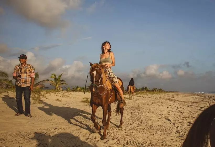 Hotelli Aldea Mizúl