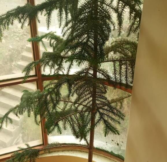 בית מלון כפרי Alojamiento Picsha Expeditions