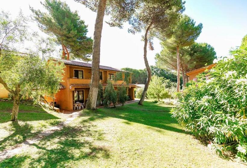 Isa Residence With Swimming Pool In Guardistallo In The Middle Of Tuscan Nature