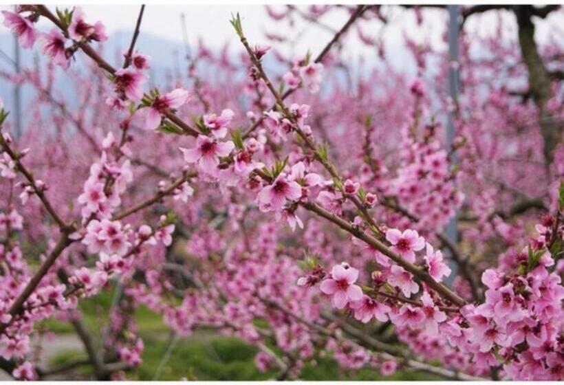 Isawa Onsen Hotel Kakyo Vacation Stay 90651v