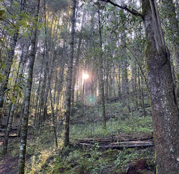 بنسيون Hostal La Roca