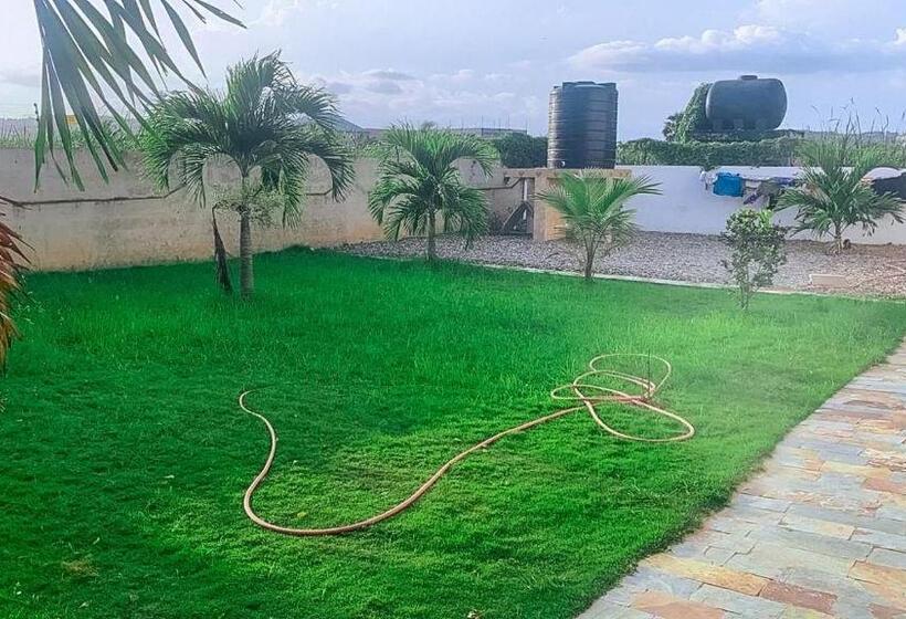 Bed and Breakfast Amono &achimaa