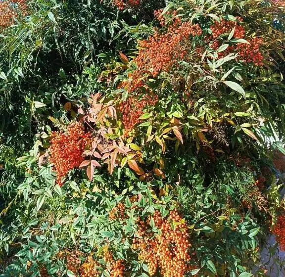 Aamiaismajoitus (B&B) La Casetta Di Ugo