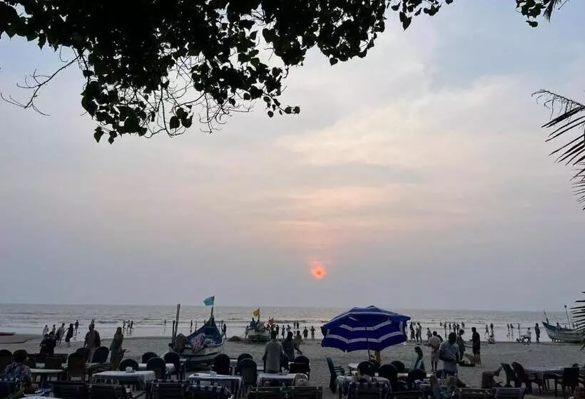 ホテル Hakuna Matata   Budget Stay At Arambol Beach, Goa