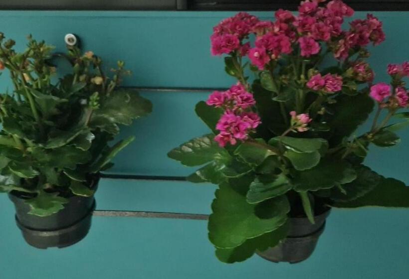 酒店 Pousada D’san Shower & Bed