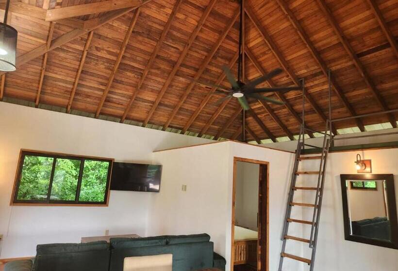 Pensionat Turtle Suite