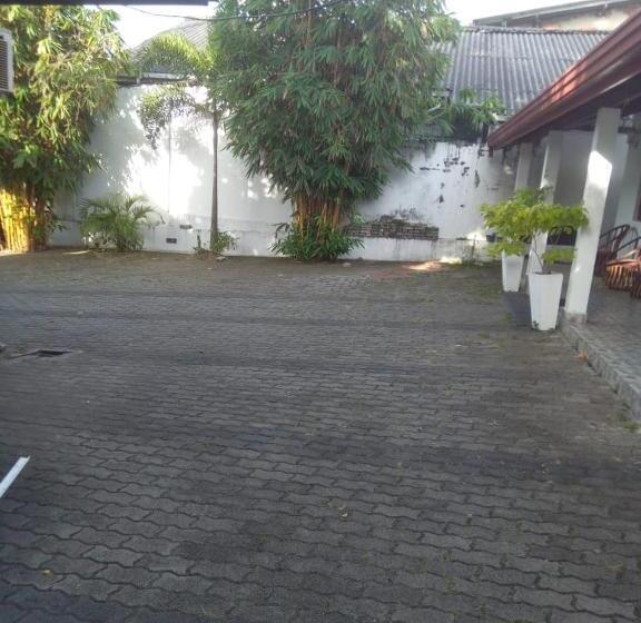 פנסיון White Lotus