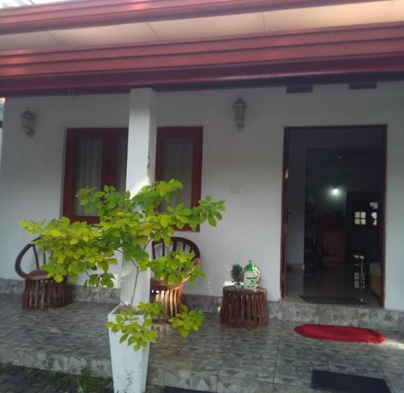 פנסיון White Lotus